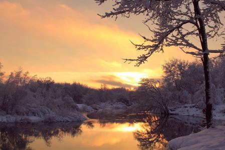 晚上，日落，河，白霜，树，冬天