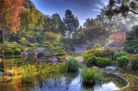 日本庭园，日本，池塘