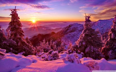 美丽的夕阳，山，圣诞树，雪