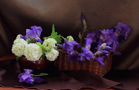 篮子，花瓶，鲜花，鸢尾花，绣球花，布