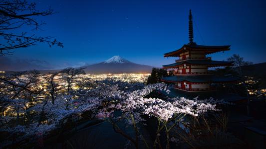 富士山，山，火山，春天，日本，灯，晚上，宝塔，樱花，春天，景观，树木，开花