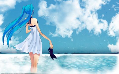 海，女孩，Vocaloid，初音未来，天空，鞋子，鸟类