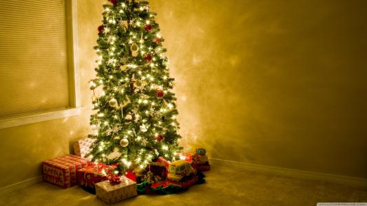 聪明的圣诞树，房间，空，礼物