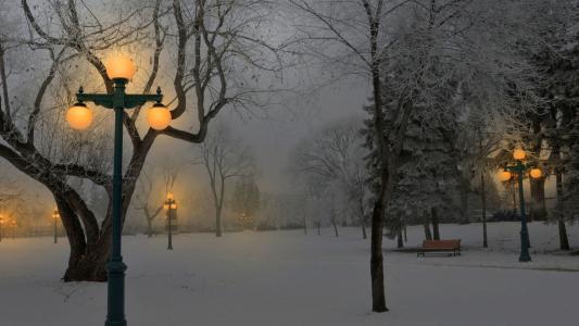 冬天，灯，晚上，雪，长凳，树木，公园