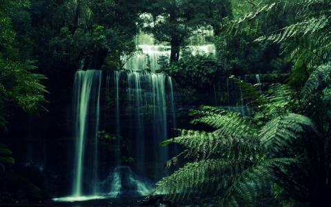 瀑布，森林，树，河，水