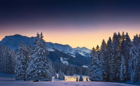 冬天，阿尔卑斯山，森林，雪，美丽