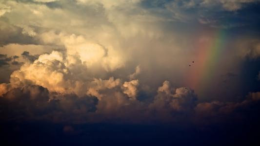 天空，彩虹，云，雨，鸟