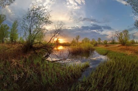 池塘，莎草，树木，天空，日落，照片，谢尔盖Shlyaga
