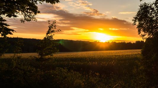 日落，太阳，场，瑞典