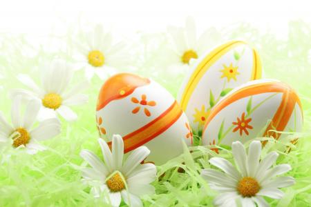 复活节，洋甘菊，假期，鸡蛋