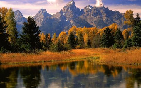 秋天，山，湖，岸，云，树，灌木，草，反射
