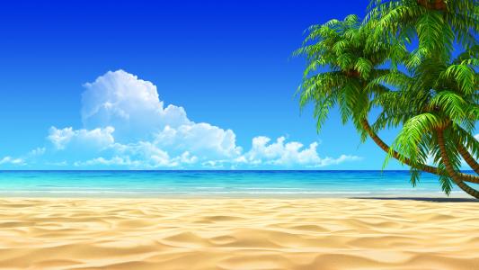 热带，photoshop，夏天，沙，海洋，天空，云，棕榈树，阴影