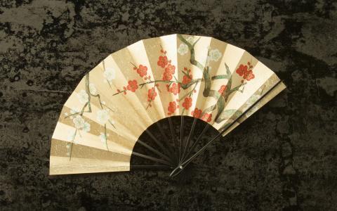 中国，粉丝，背景，纹理，樱花