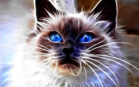 猫，蓝色的眼睛，蓝色背景，光的抽象