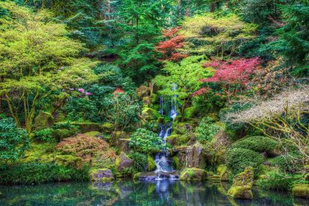 日本的花园，瀑布，石头，树木，池塘