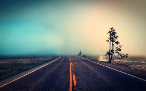 雾，树，路，性质