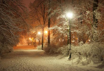 晚上，冬天，公园，雪，美丽