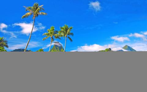 海，平房，棕榈树，热带地区，度假，夏天