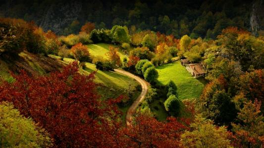 森林，房子，秋天