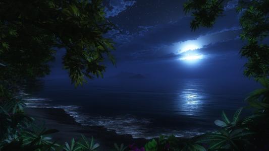 月亮，夜晚，沙滩，海。