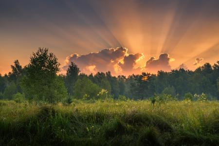 阳光明媚的风扇，夏天，黎明，光线，Galansovskaya Oksana