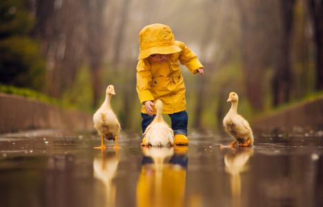 杰克·奥尔森，婴儿，雨衣，雨衣，牛仔裤，靴子，巴拿马，水坑，鸟，鹅，游戏