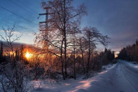 森林，道路，冬季，雪，黎明，沙拉波夫安德烈
