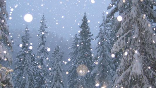 冬天，自然，山，森林，雪