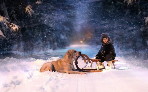 晚上，雪橇，冬天，雪，狗