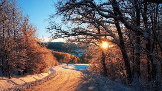 国家，道路，冬天，雪，树