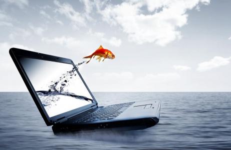 水，鱼，笔记本电脑