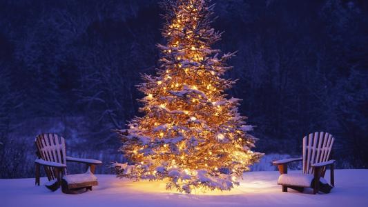 新的一年，圣诞节，树，灯，雪，扶手椅