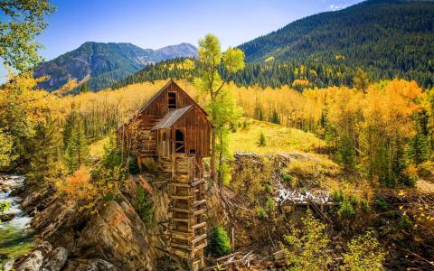 秋天风景，科罗拉多州，白杨树，金黄色的叶子，松林，木房子