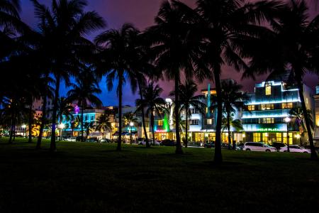 迈阿密，佛罗里达州，棕榈树，南部海滩，夜间