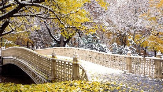桥，秋天，kovanka，树，雪，树叶，美女