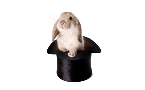 米色的兔子，帽子，耳朵