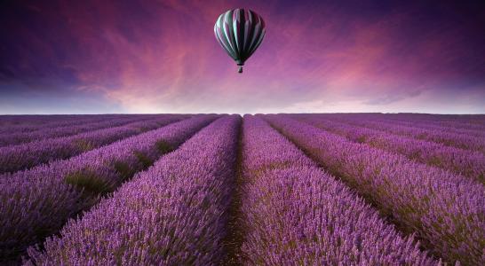 性质，气球，美丽，紫罗兰色的背景