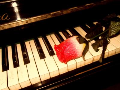 音乐，钢琴，玫瑰