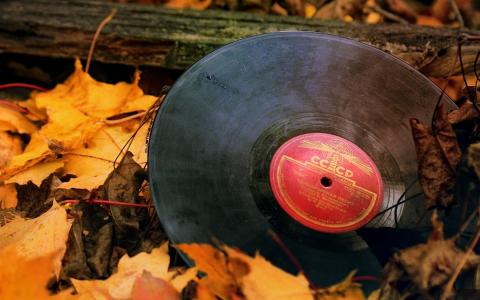 秋天的树叶，黑胶唱片，苏联