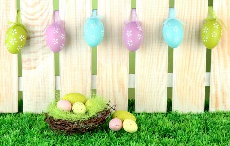 复活节，假期，董事会，草，鸡蛋，krashenki，围栏，巢，复活节