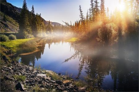 阳光，光线，河流，针叶林，倒影，阿尔泰，由艺术家帕维尔