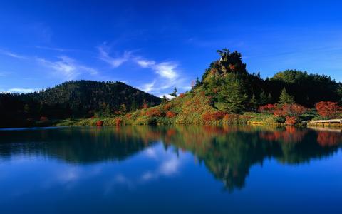 反射，日本，森林，湖泊，水