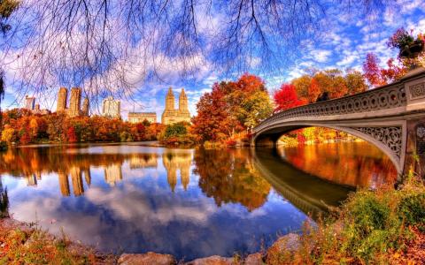 水，树，桥，房屋，秋天，纽约，中央公园