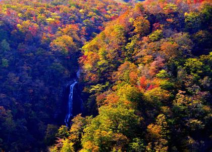 秋天，瀑布，美丽，性质