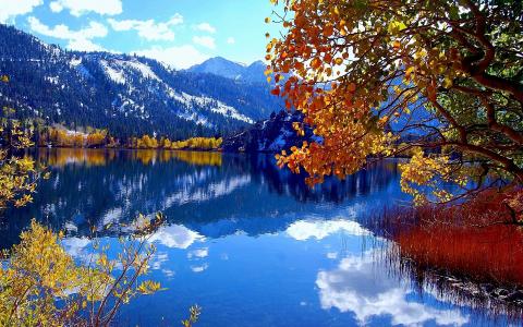 秋天，湖，森林，山，雪