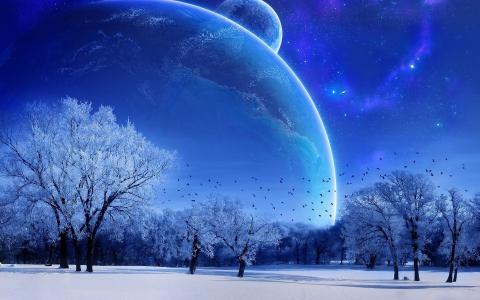 冬天，月亮，天空，空间，蓝色色调，树木在霜，鸟类