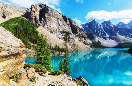 冰，湖，班夫国家公园，加拿大，景观，湖，森林