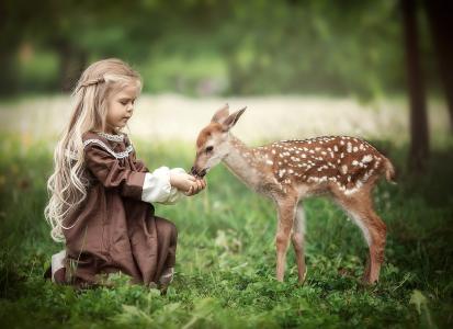 伊琳娜Nedyalkova，孩子，女孩，自然，夏天，动物，鹿，幼崽