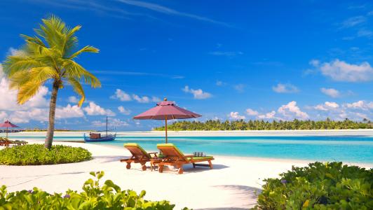 海，沙滩，棕榈树，休息，热带地区，马尔代夫