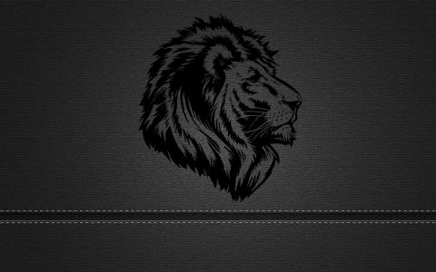 狮子，纹理，纹章，布，黑色